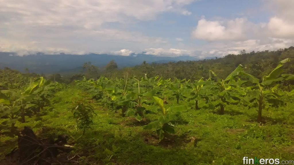 la bella  - Finca en Viotá, Cundinamarca